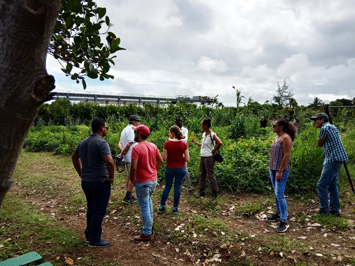 RachelArmeflhor's tweet photo. Cet après midi, visite d'un des observatoires pilotés du projet #ST0P #DEPHY_EXPE dans le cadre de la journée e-pic @ecophytopic @Dephy_Ecophyto https://t.co/zIKuY96tu0