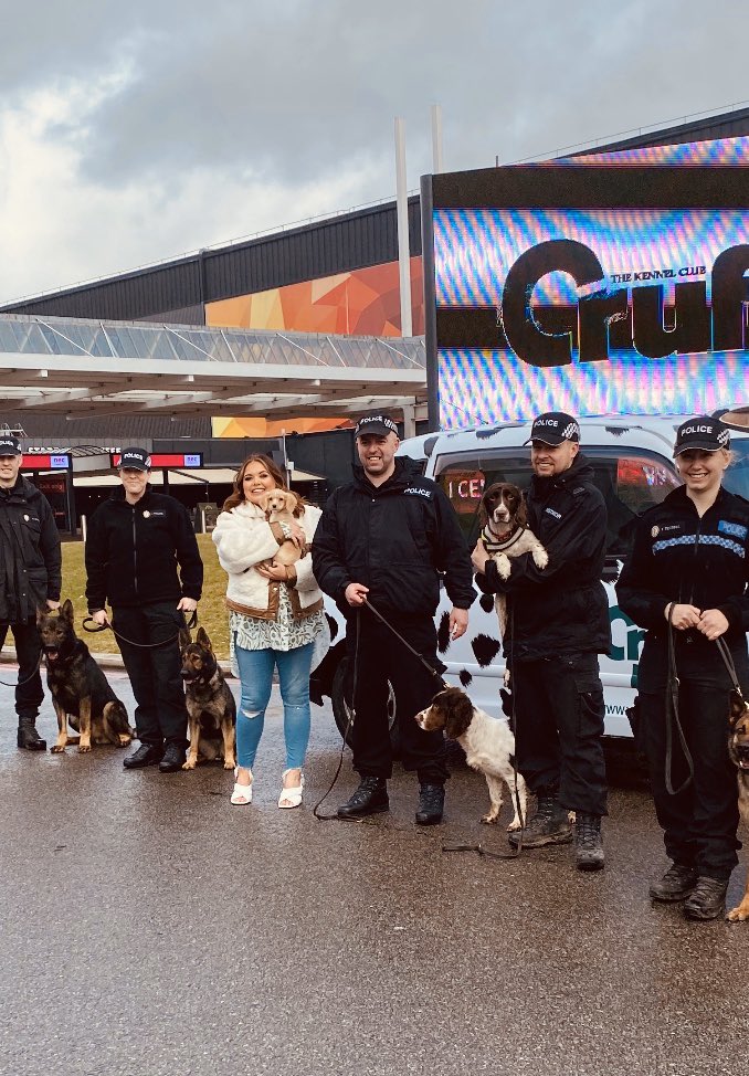 WMPDogs's tweet image. Practice is well underway for crufts. Managed a quick visit for photos with @ScarlettMoffatt with officers giving up their days off. Come and see us in hall 3 from Thursday. @Crufts @cartmonthedog PC Johnson supporting #HeForShe