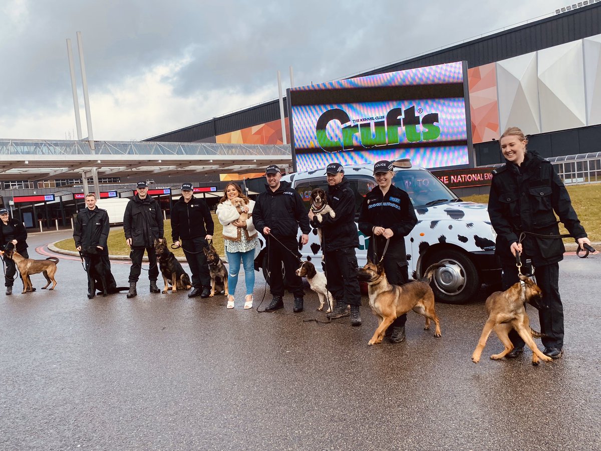 WMPDogs's tweet image. Practice is well underway for crufts. Managed a quick visit for photos with @ScarlettMoffatt with officers giving up their days off. Come and see us in hall 3 from Thursday. @Crufts @cartmonthedog PC Johnson supporting #HeForShe