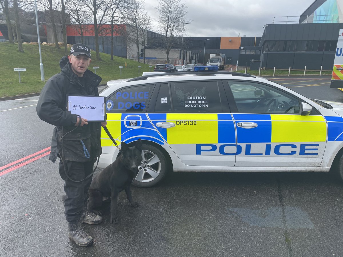 WMPDogs's tweet image. Practice is well underway for crufts. Managed a quick visit for photos with @ScarlettMoffatt with officers giving up their days off. Come and see us in hall 3 from Thursday. @Crufts @cartmonthedog PC Johnson supporting #HeForShe
