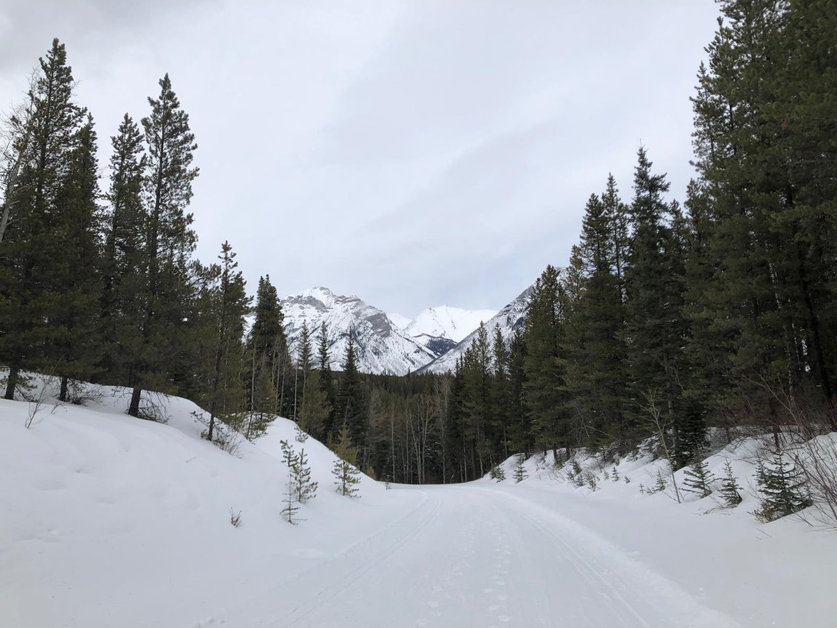 in Banff for #KSTcellmemory?  Get out of the winter chill and stop by the poster session this evening to see our postdoc Chirag Patel present on the role of TSC2 regulation in T cell memory formation!