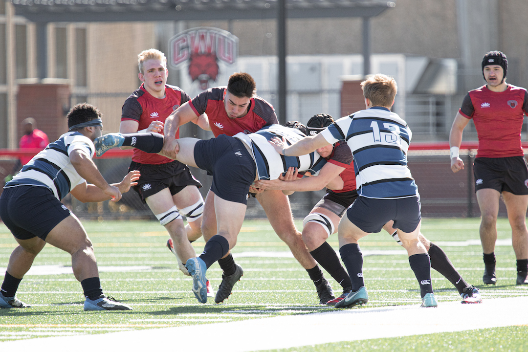 D1ARugby's tweet photo. 🏉Round 1⃣9⃣ Recap 🏉
Central Washington and Navy administer confident upsets

READ MORE » https://t.co/mwyUvmQnKm

✏️: Dillon Wall
📸: @CWURugby https://t.co/R6Qv7XMUez