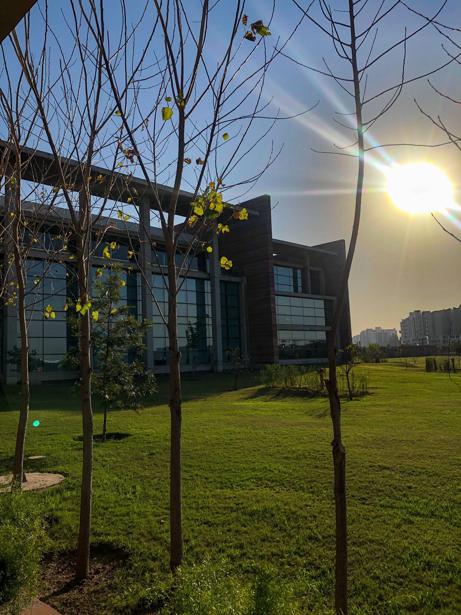 Samavia Batool tweet media