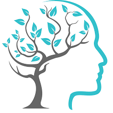 STEM_ORG tweet picture