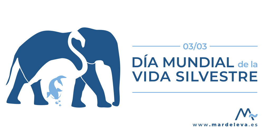 EstudioMar's tweet photo. 🌊Nos nos olvidemos que estamos ante la Sexta extinción masiva del planeta…provocada por nosotros mismos. La biodiversidad está gravemente amenazada, sobre todo las especies de vertebrados🌊#ODS15#DíaMundialDeLaVidaSilvestre
#WWD2020 #Biodiversity2020 #worldwildlifeday https://t.co/9hSKR7o02I