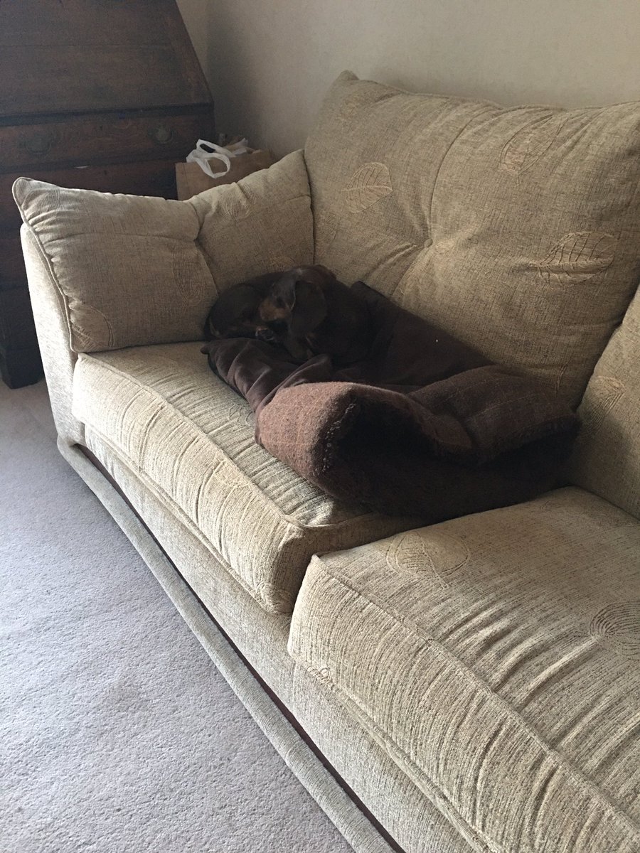 herrbutters's tweet photo. Today I have disguised myself as part of my sleeping bag and they couldn’t see me .It’s not my fault they didn’t buy the tartan one 😂 https://t.co/FQU4IHLTlq