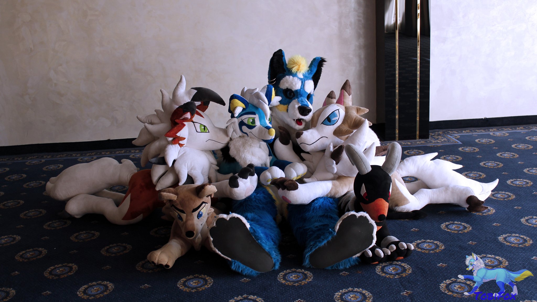 Arf plush top