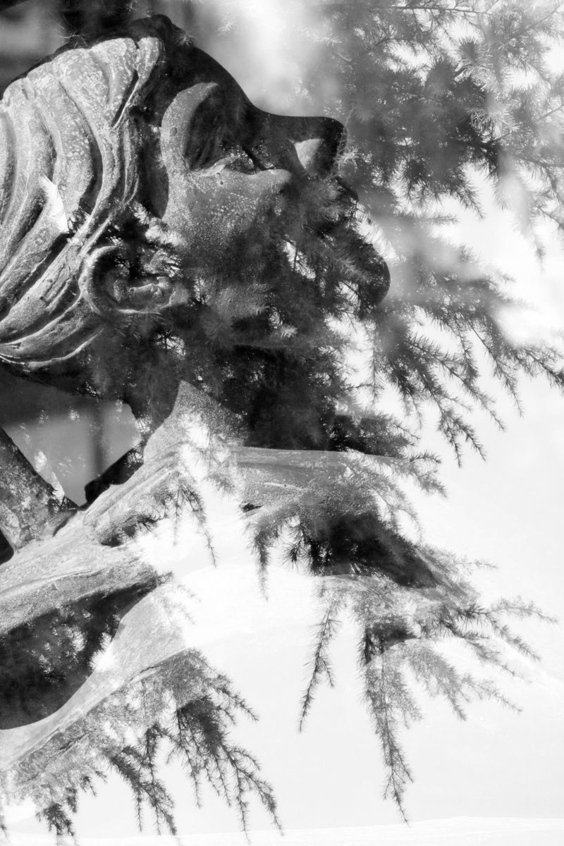 C_undersound's tweet photo. #city  #photography #doubleexposure  #linux #rawTherapee #ubuntu #postproduction #cislago #lombardia #story https://t.co/dcH9pTA4hN