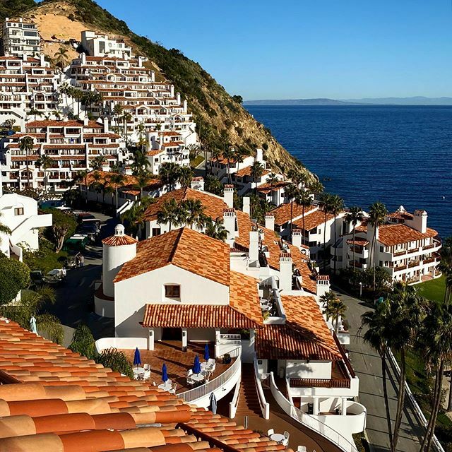 Quick trip to Catalina Island for me and my wife! The last few months have been wild, and the Portland golf show was the icing on the cake, so we need a couple days to just relax. Back to the grind on Thursday, but going to enjoy this time together! If I… ift.tt/3ameGSH