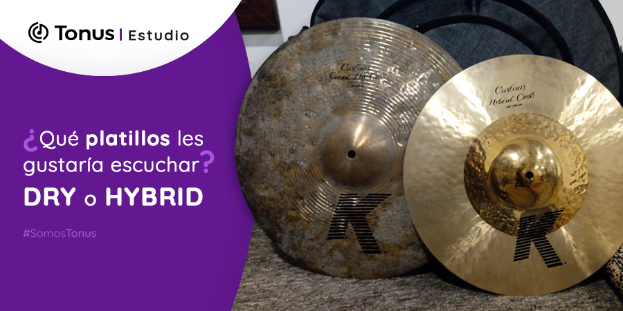 Tonus Estudio tweet media