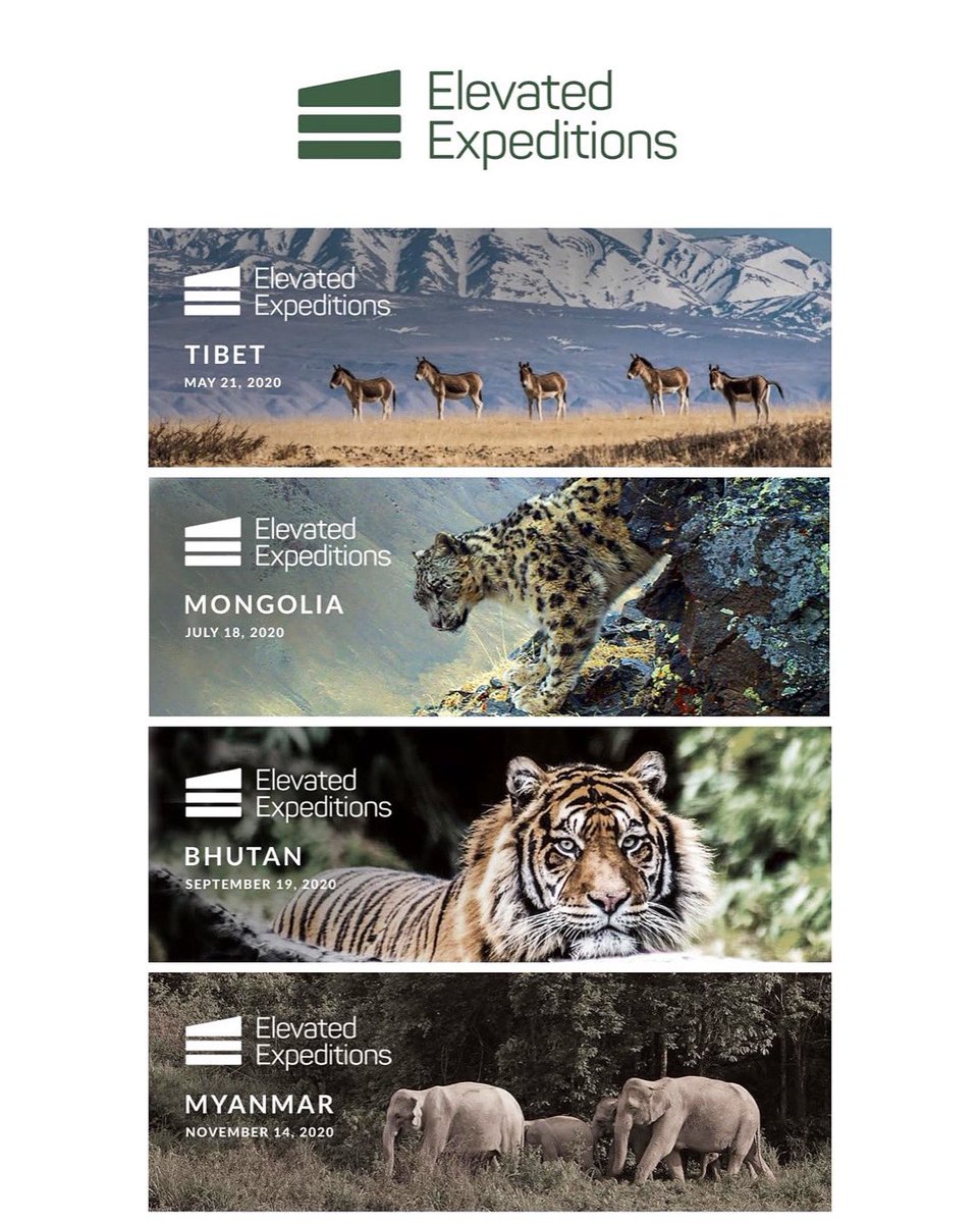 Will Travis tweet media