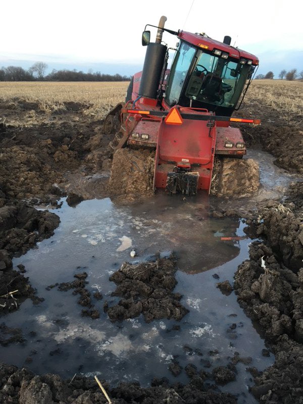 SMHofreiter's tweet photo. 1st in field in Illinois didn’t when any prizes https://t.co/UNsmvFO15B