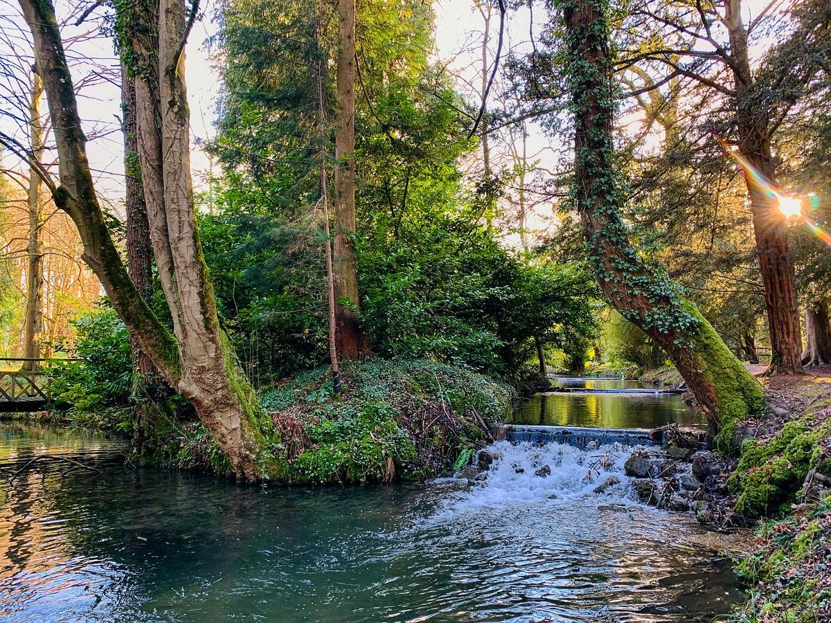 ThorpPerrow's tweet photo. The Watersteps run down the edge of the arboretum, this naturally running stream runs from the hills and feeds our lakes. #watersteps #thorpperrow #arboretum #water #stream #lakes #yorkshire #northyorkshire #magic #beautiful https://t.co/iXO80AnAEA