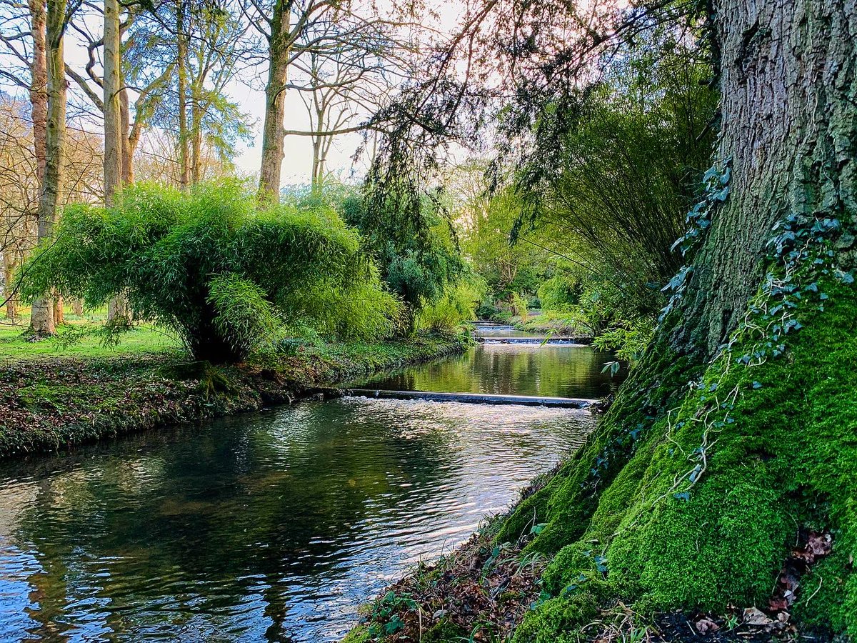 ThorpPerrow's tweet photo. The Watersteps run down the edge of the arboretum, this naturally running stream runs from the hills and feeds our lakes. #watersteps #thorpperrow #arboretum #water #stream #lakes #yorkshire #northyorkshire #magic #beautiful https://t.co/iXO80AnAEA