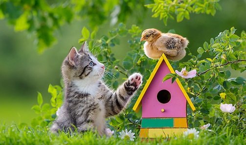 Victori62119657's tweet photo. #nature #NaturePhotography #naturelovers 
#quotes
💖Happiness is enjoying the little things in life💖 https://t.co/JxDcjuWHAK