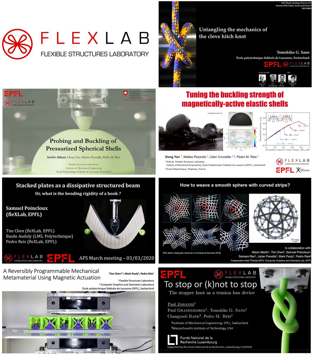 flexlab_epfl's tweet photo. Canceling this week's APS March Meeting in Denver was unprecedented &amp; a bucket of cold water for many students, postdocs, &amp; researchers, who had worked very hard to prepare their talks. Here are the 7 members from our lab who were scheduled to talk, along with their title slides. https://t.co/yRj4Dx9Dx2