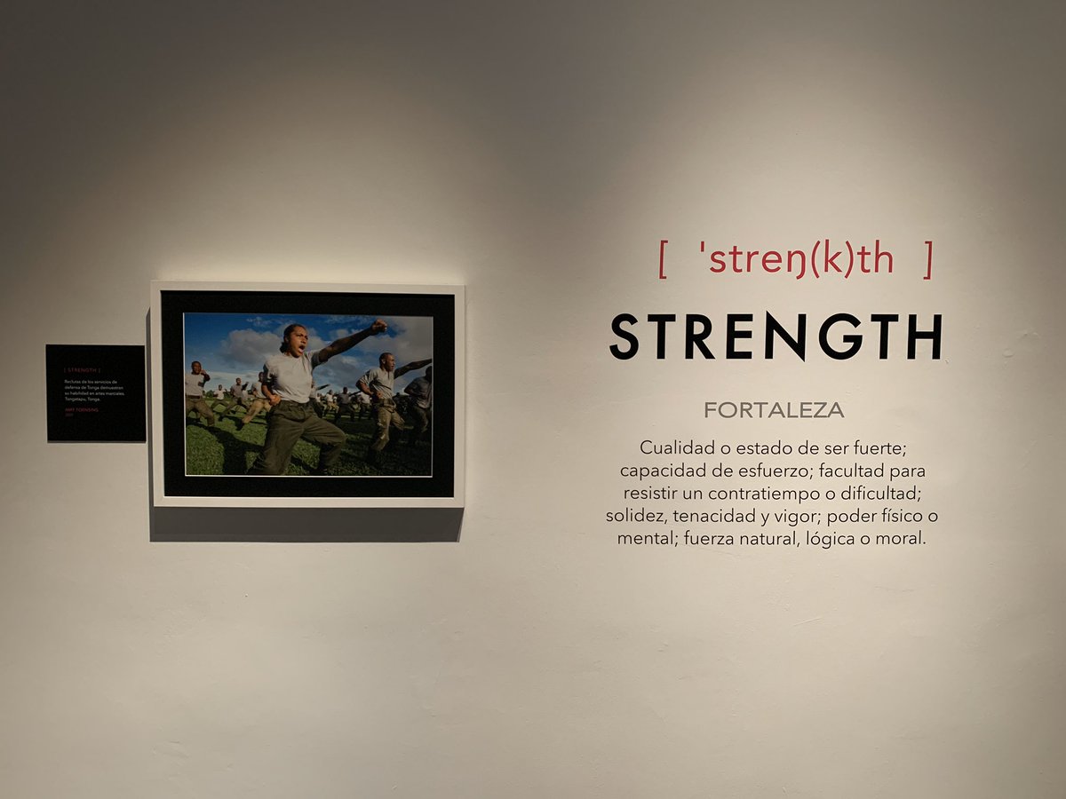 La exposición está dividida en seis secciones basadas en las cualidades que proponemos al espectador para que las busquen en las instantáneas. 
#WOMEN <a href="/NatGeoEsp/">National Geographic España</a>