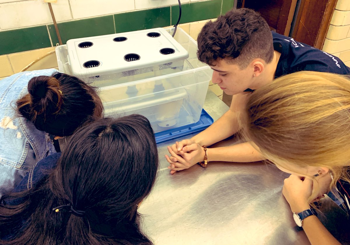 Testing our #aquaponic systems! Who’s will work? <a href="/LakeViewHS/">Lake View HS</a> Innovation Academy will soon find out! <a href="/ECCECPS/">Early College and Career Education (ECCE)</a> @network14cps <a href="/FOLVHS/">Friends of Lake View High School</a> <a href="/pjkarafiol/">Paul Karafiol</a> #STEM