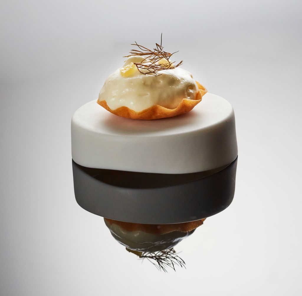 BocuseTeamUK tweet media