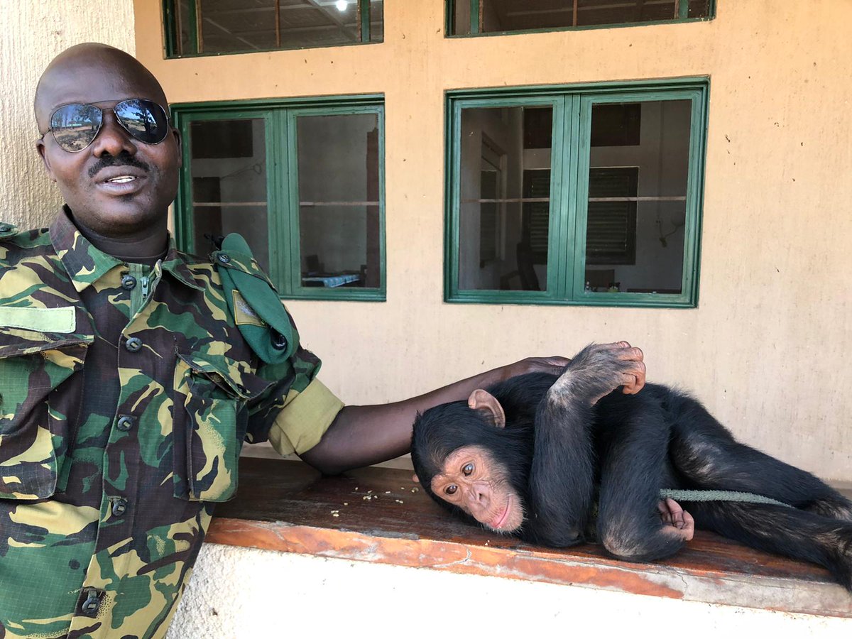 ObamaFoundation's tweet photo. On #WorldWildLife Day, we’re celebrating Pascal Adriyo Anguezi—an Obama Leader whose conservation efforts make it possible for future generations to know the beauty of wildlife. At Garamba National Park, Pascal protects elephants, giraffes, and wildlife that call the park home. https://t.co/eArUMCzRqw