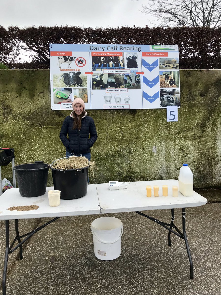 hazelcostigan's tweet photo. Great day talking about calf rearing with all the students at today’s @AgriAware farm walk and talk event at @teagasc Moorepark #FarmWalk2020 https://t.co/TwqFIJngdt