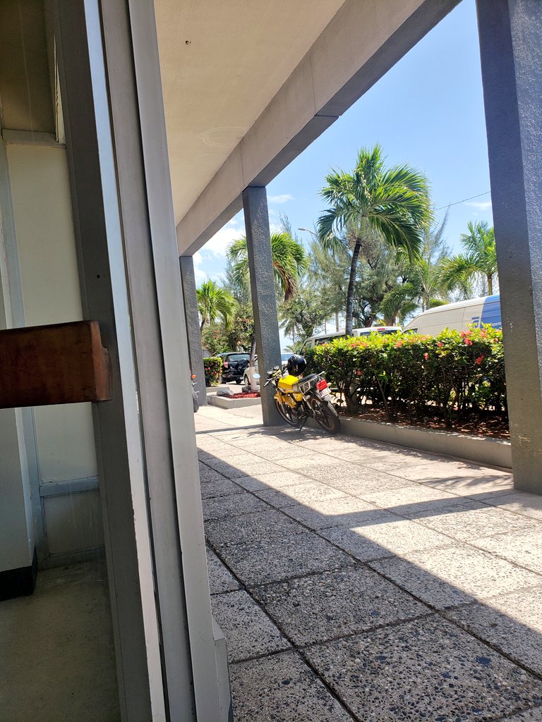 dempsterchung's tweet image. Here at the site of the new @kgncreative Artisan store... right on the beautiful, breezy waterfront. This is where you will soon be able to purchase from artists &amp;amp; artisans from the monthly pop up Market Street. Thanks @UDCJamaica for partnering to support creative entrepreneurs!