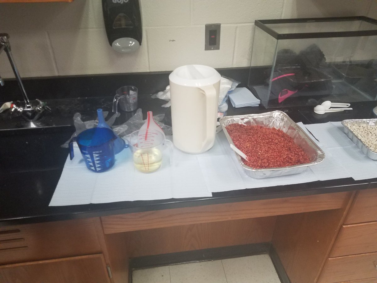 RChewCRES's tweet photo. Students in Mrs. Russo's class are making blood models! #WFInspired @WakeForestMS https://t.co/PIbacpTnCK