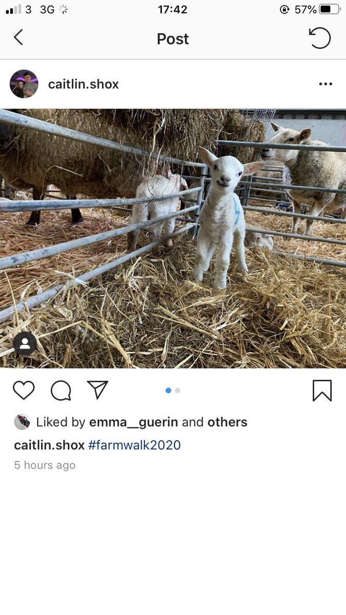 AgriAware's tweet photo. Congratulations to the winners so far of our #FarmWalk2020 Instagram competition Caitlin O’Shaughnessy @CMhuireAskeaton Ryan Conway @ClaregalwayColl and Leah Hennessy @stleoscarlow. You will be receiving your @farmersjournal prizes soon 🙌🏻🐑🐮 https://t.co/88yf8LegyO