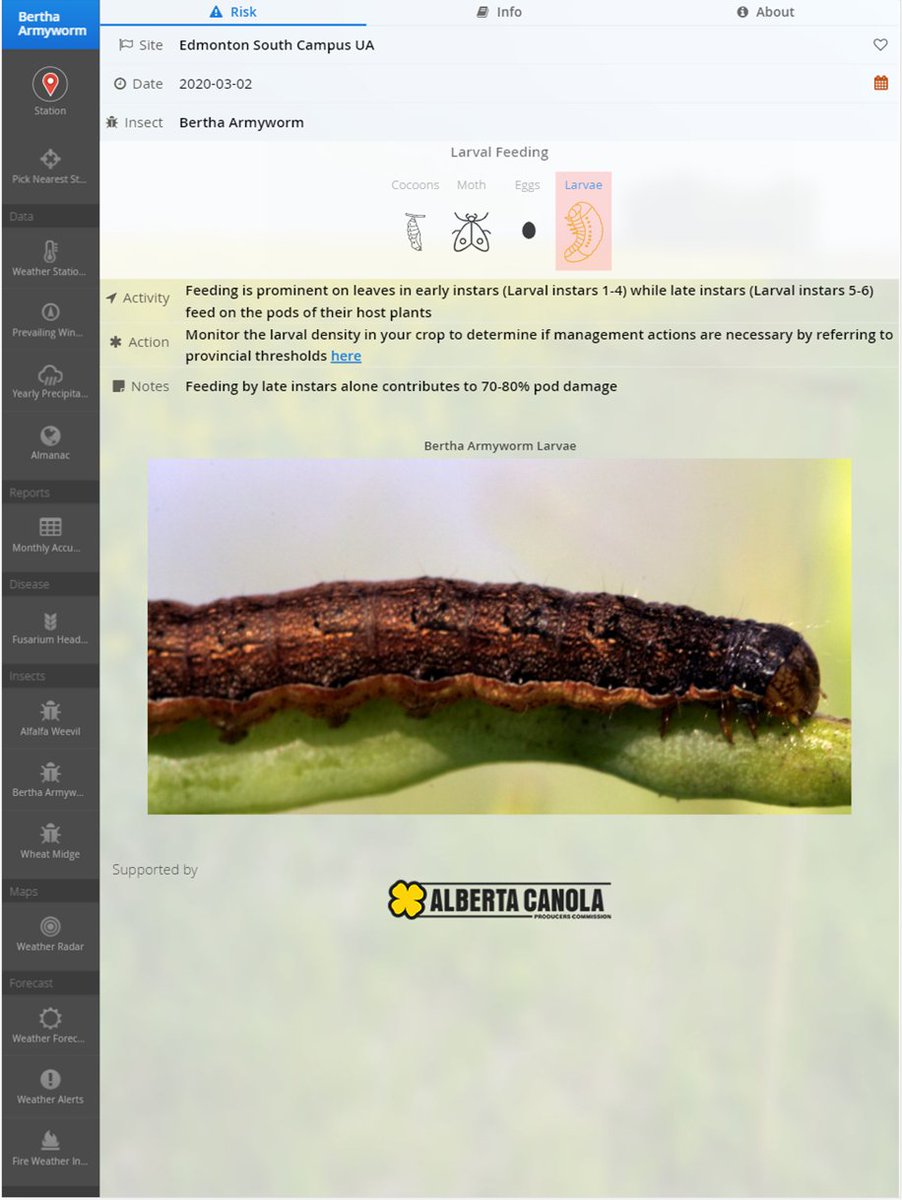 AlbertaAg's tweet photo. #abagchat Bertha Armyworm is currently in larval stage — keep an eye out for this pest over the growing season at https://t.co/pf7wxSaKo4 https://t.co/s3DxLFtD0k