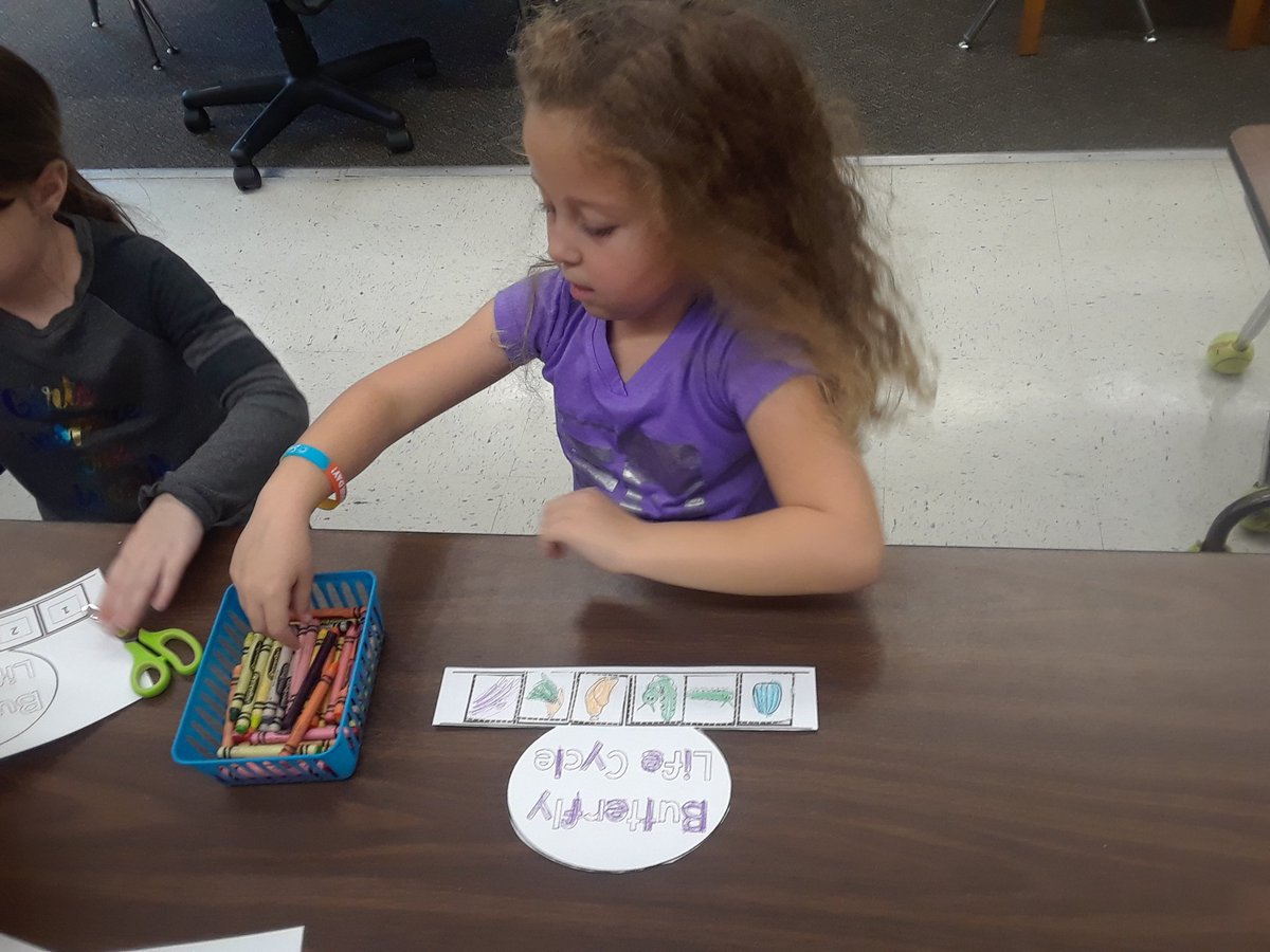 PreKShaffer's tweet photo. These students enjoy learning about the life cycle of a butterfly and determing if they are insects. #educatinghornets https://t.co/ruiwnDPFeq