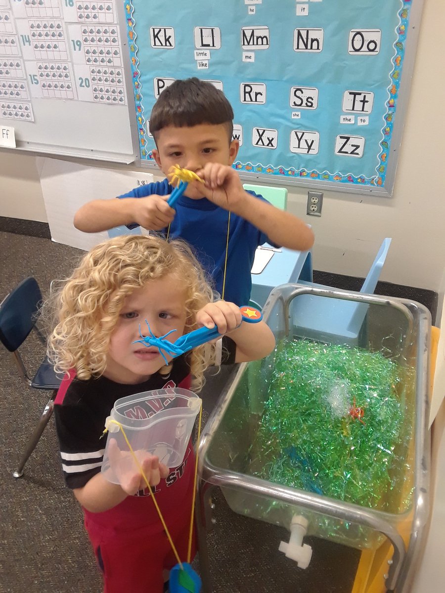 PreKShaffer's tweet photo. These students enjoy learning about the life cycle of a butterfly and determing if they are insects. #educatinghornets https://t.co/ruiwnDPFeq