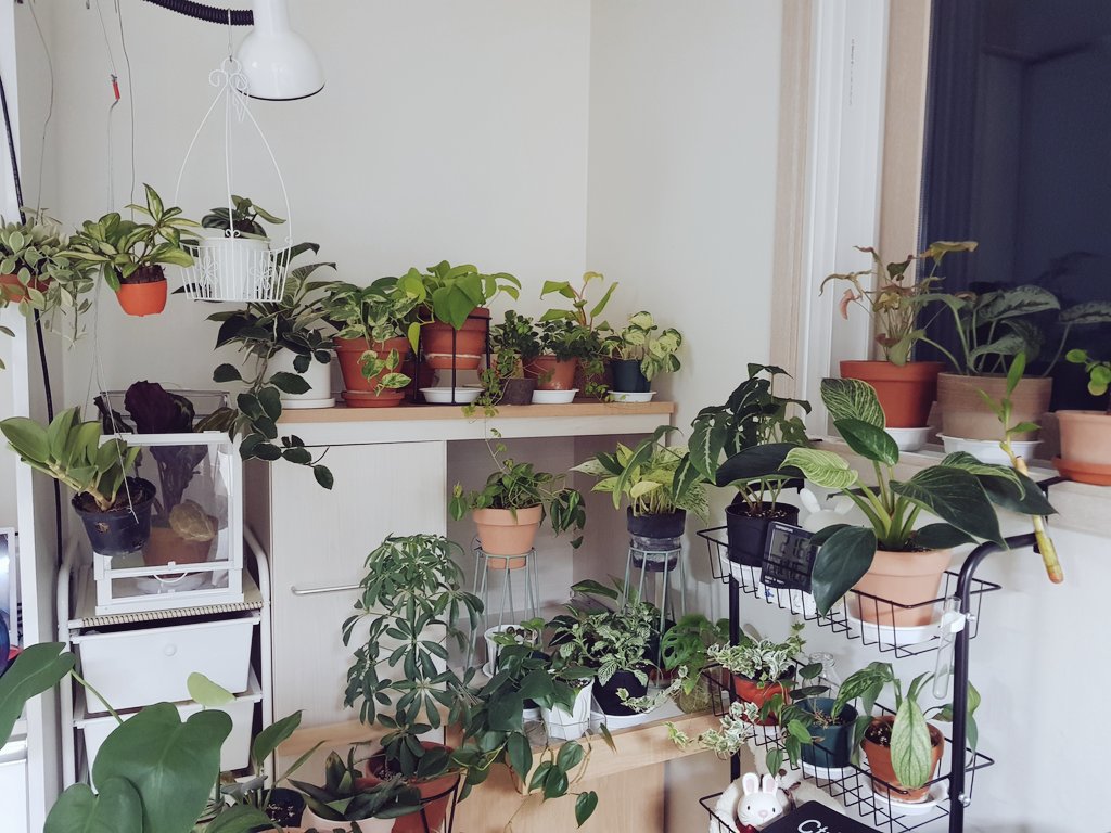 딸랑🍀 tweet media