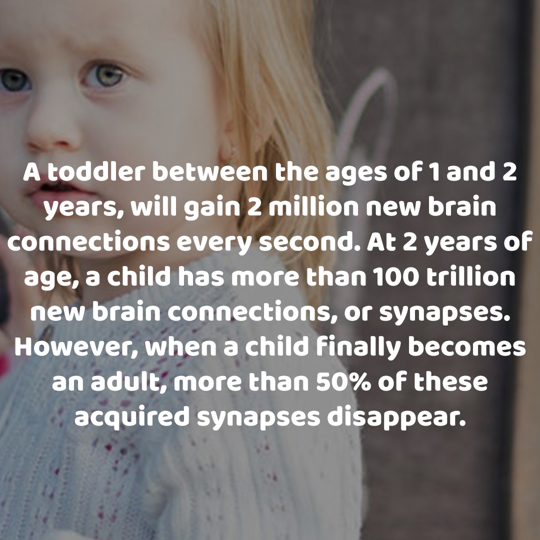 Child Development Facts

Day 20: Where Did The Cells Go

#parenting #child #childfacts #kidsfacts #facts