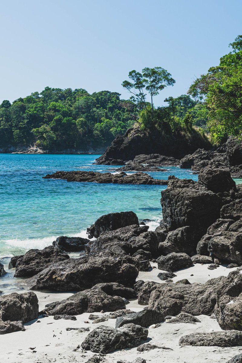Bravo_Travel's tweet photo. Not only will you be able to see the sloths in Costa Rica, but you'll be able to explore the greenest of jungles and the clearest of waters! 

🦥🌴🌊 https://t.co/lLbIZM1W44