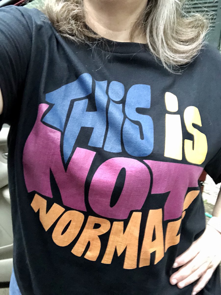 freelulu's tweet photo. Just a reminder to vote today because THIS IS NOT NORMAL. #tuesdaytee 🇺🇸 https://t.co/ea0Gp9bDJU