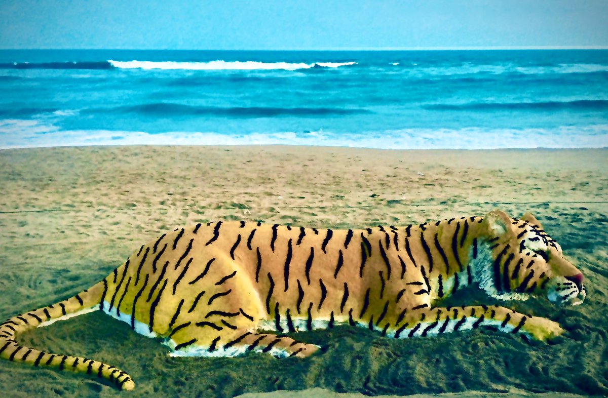 Sudarsan Pattnaik tweet media