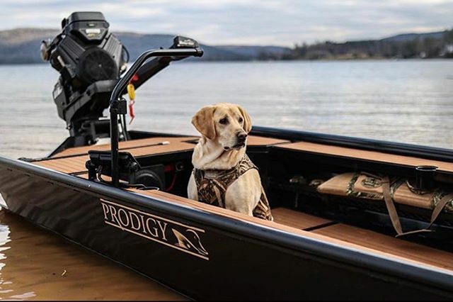 Prodigy Boats tweet media