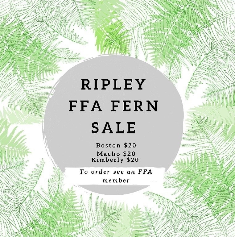 RipleyHighTN's tweet photo. Spring is near! See an FFA Member to purchase for ferns. See flyer for pricing https://t.co/th4urr37Qd