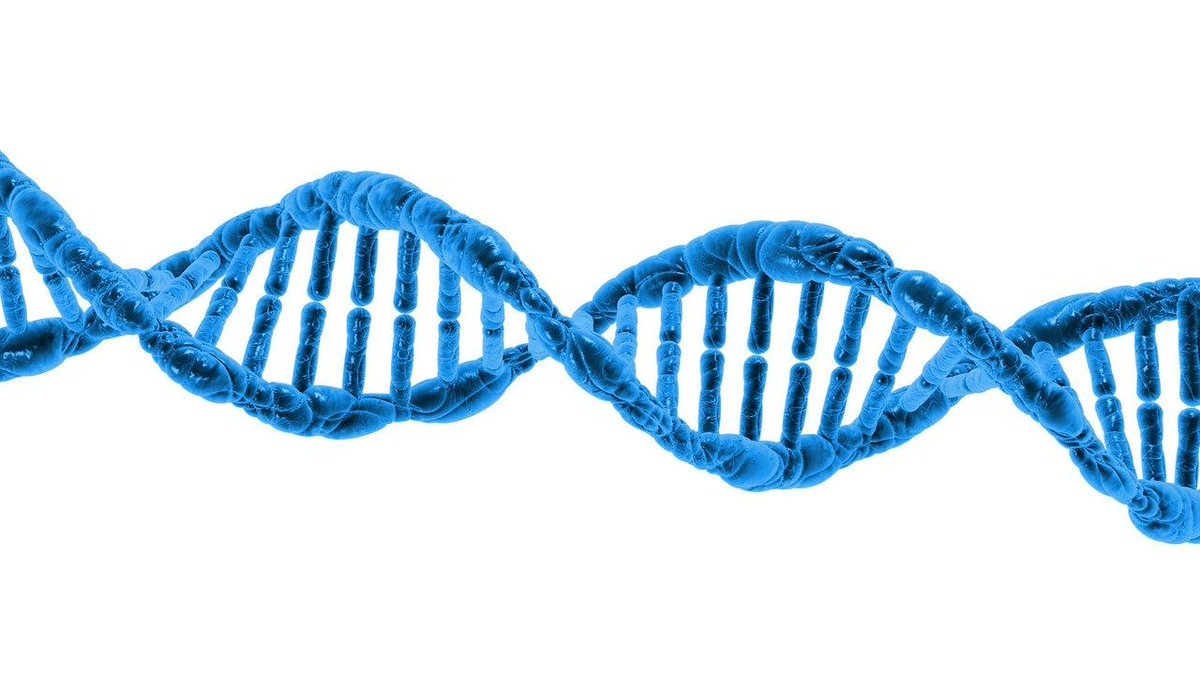 nano4global's tweet photo. NANO4 platform can adapted to a range of applications where specific DNA or RNA sequence is critical. Currently we are working on the detection of leukaemia. Know more on what we do here https://t.co/eSGsQMin1c https://t.co/8tbHT30sah