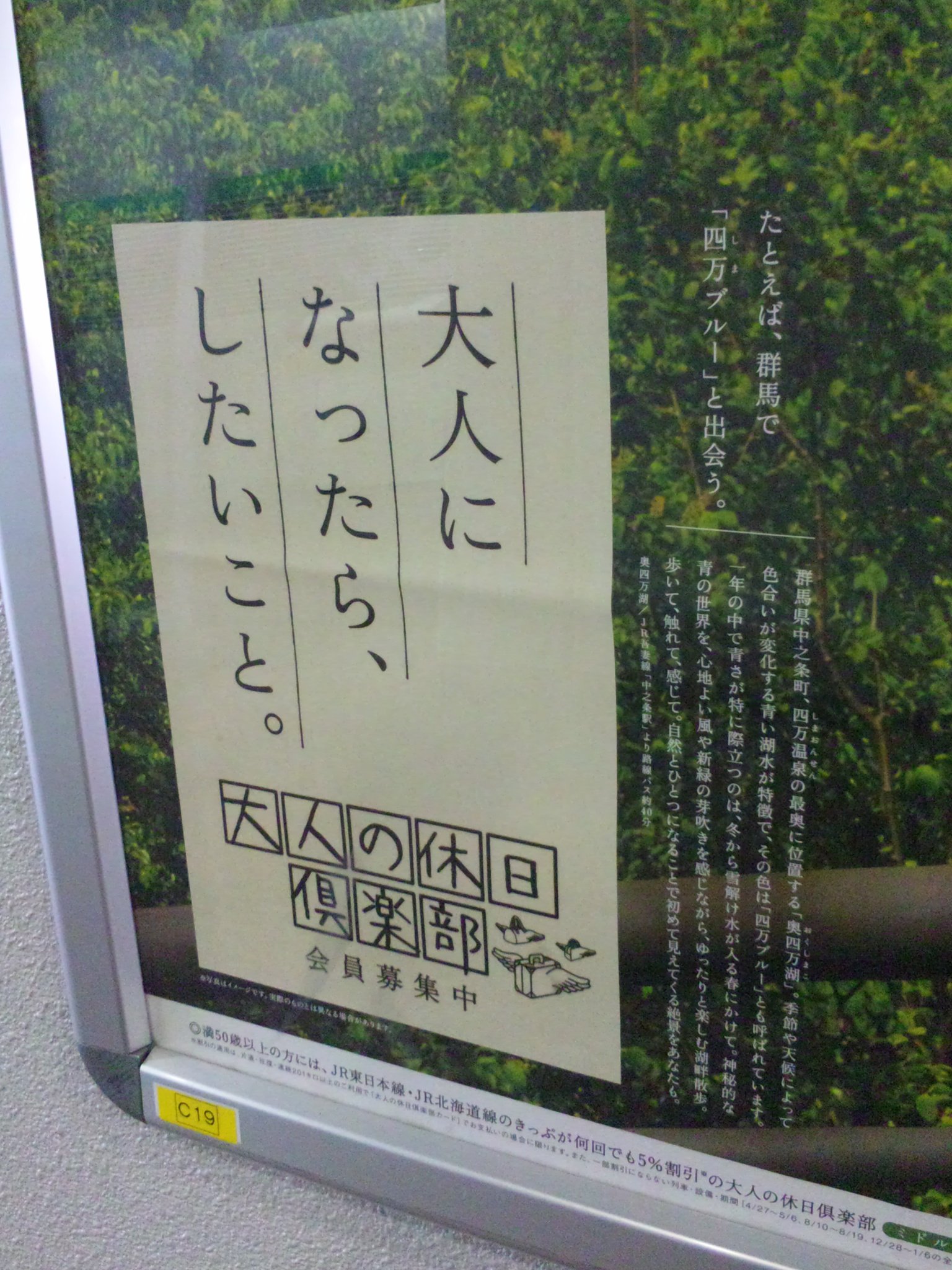 吉永小百合 特大ポスター 青森弘前◇大人の休日倶楽部 BO特大