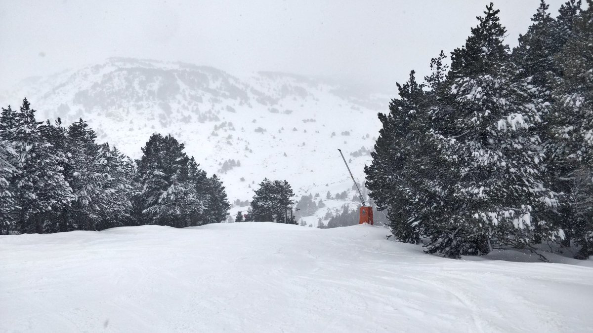 Ludalovitch's tweet photo. Fresh snow. Nobody on track. Missing a little bit of sun but damn that feels so good #FunWithSon #Snow #fontromeu #pyrenees2000 https://t.co/Y1ytviZGaR