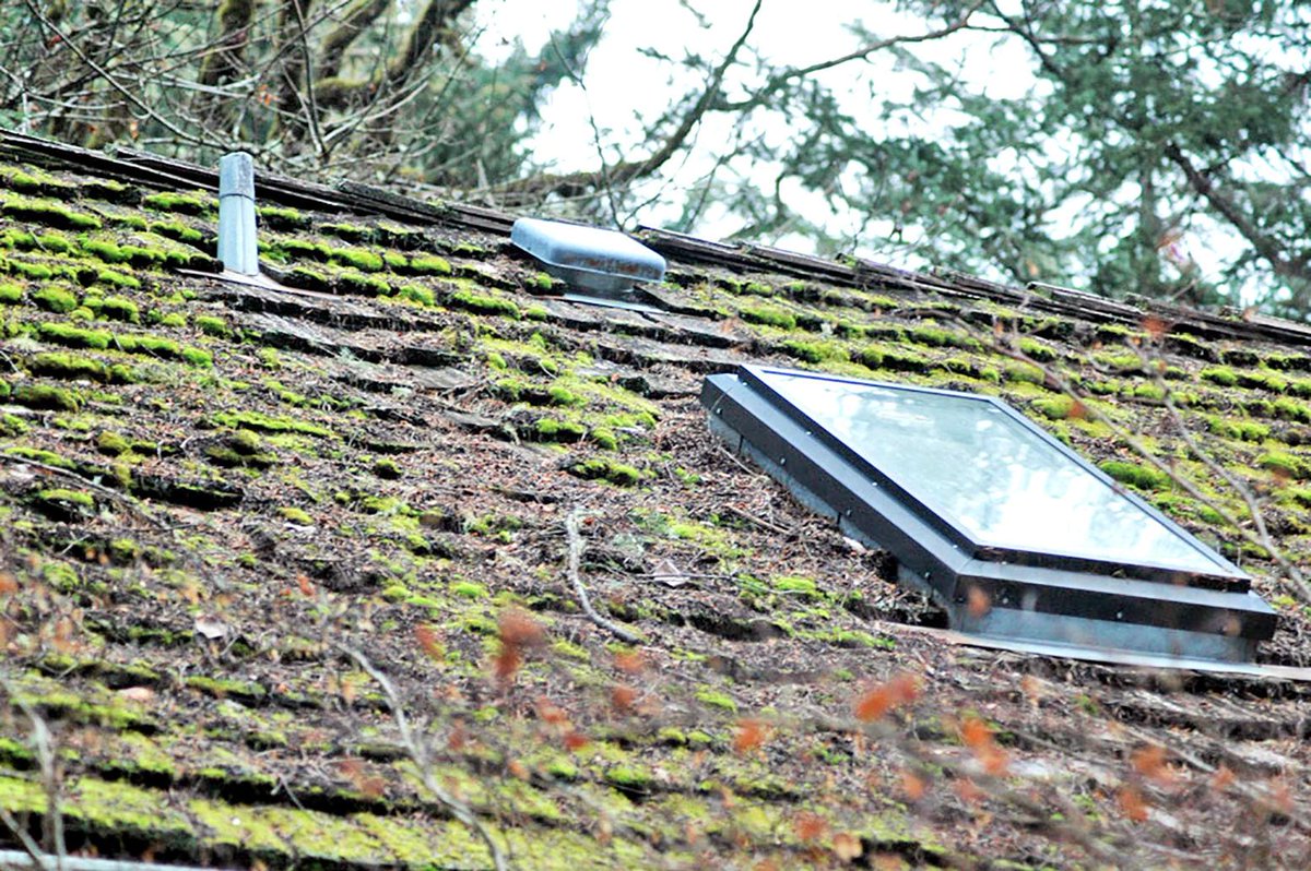 frs_roofing's tweet photo. Is stubborn moss causing a problem for your roof? Take action today.
#WeGotYou #LocalRoofers #FRSRoofing #FinancingForAll #ItsHowWeRoll #RoofersNearMe #FRSRoofers #MoreThanJustARoof #ItsARoofThing #KeepCalmRoofOn
https://t.co/EaM1A3fMBs https://t.co/TdTRCZm41T