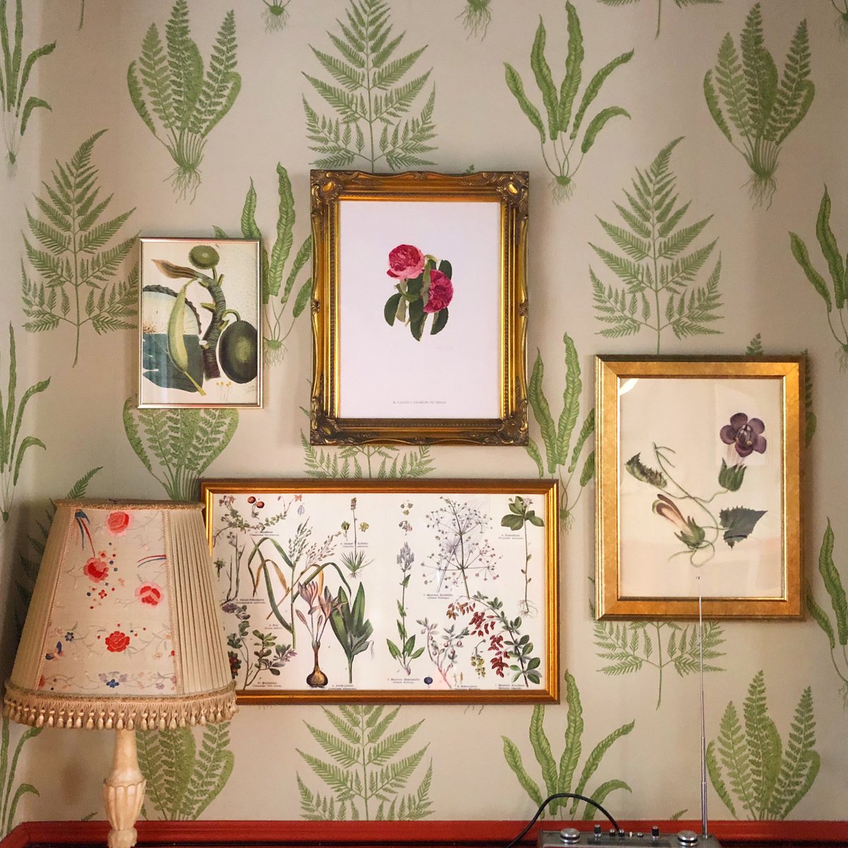 Get classic Fish and Chips and a house drink for only £12! Every single day 🐟