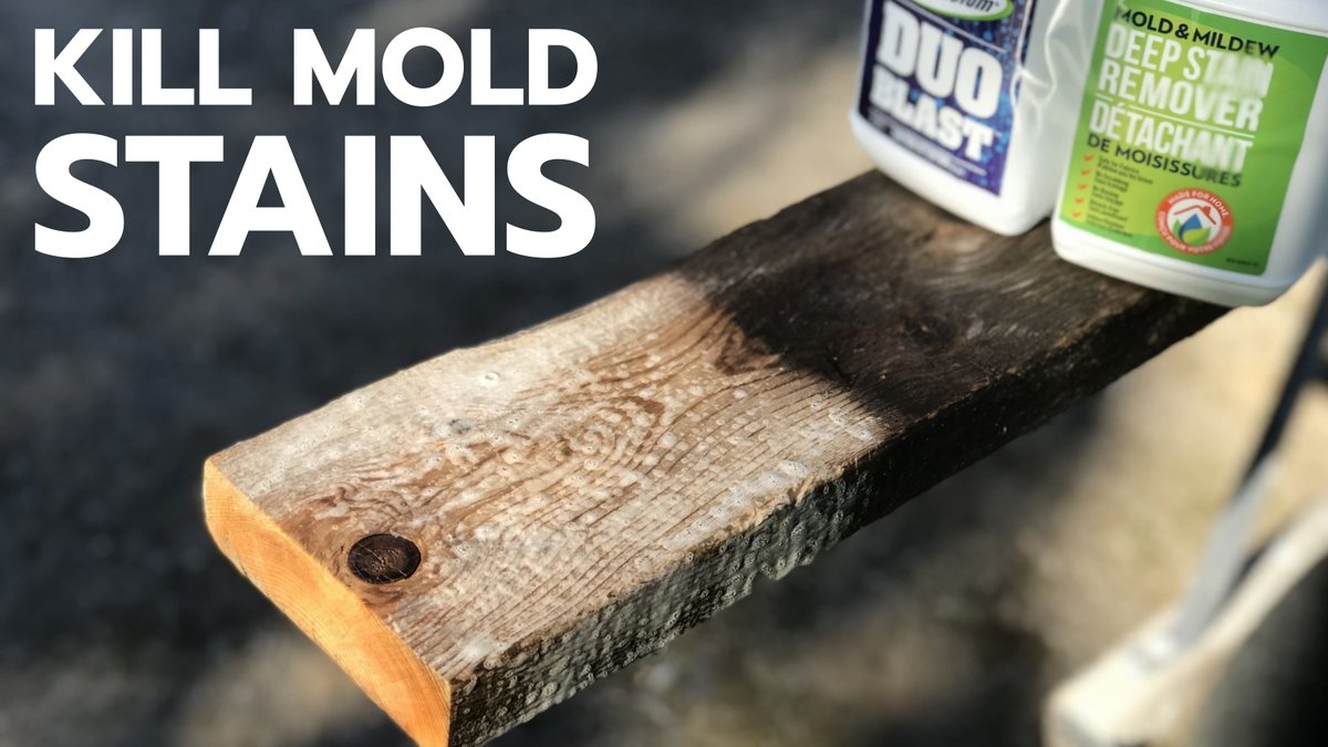 baileylineroad's tweet photo. Duo Blast is a dual-liquid version of the two-part, oxygen based cleaning chemistry that’s taking over from chlorine. Learn more about this product here. https://t.co/mdeQmxQDKX #Mold #killmold #cleaning https://t.co/8QpE6pTBOd