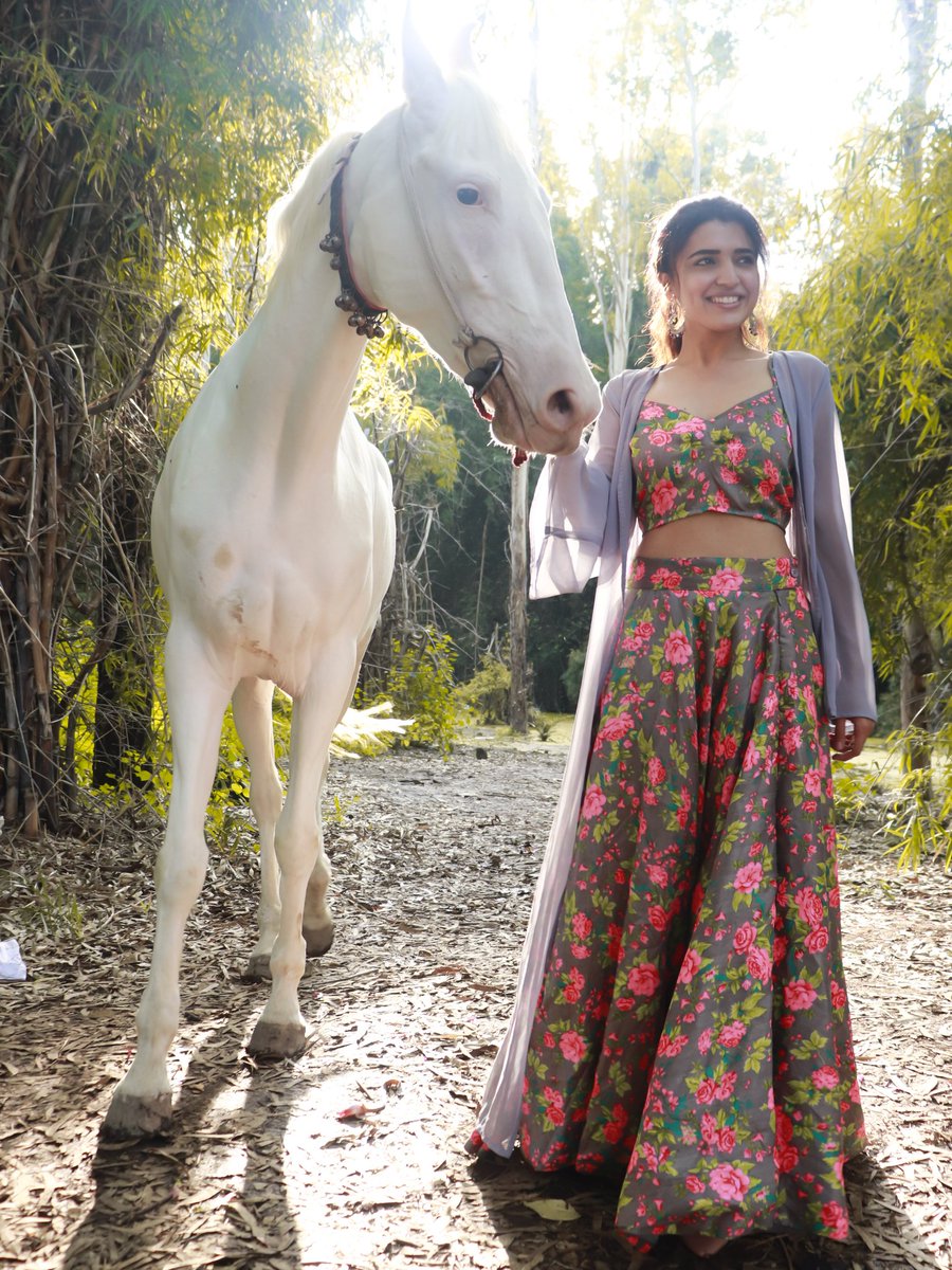ChitraShuklaOff's tweet photo. Horsing around in the bright light scene of magic.
#horselove #instagood #brightday #tuesdayouting #outfitoftheday https://t.co/LF4oc4sHq0