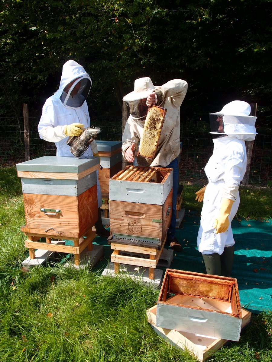 Station Verte tweet media