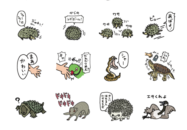 この際ですが、ハリネズミのLINEスタンプもあります。
https://t.co/Ep7NcPCFOo

#マツコの知らない世界 