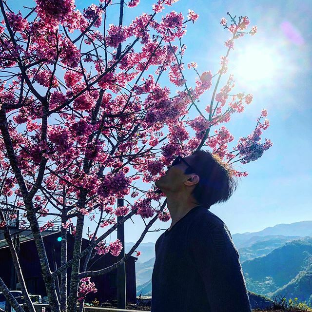 hwlun's tweet photo. 2020 春.櫻.Spring Sakura🌸 cherry blossoms 
#桜 #さくら #花見 #櫻花 #春櫻 #嘉義景點 #阿里山 #櫻 #Sakura #cherryblossoms #嘉義 #台灣 #Taiwan #shotoniphone #iphonex #20200301 https://t.co/xXywqTDtR2 https://t.co/Lt89y1VxNL