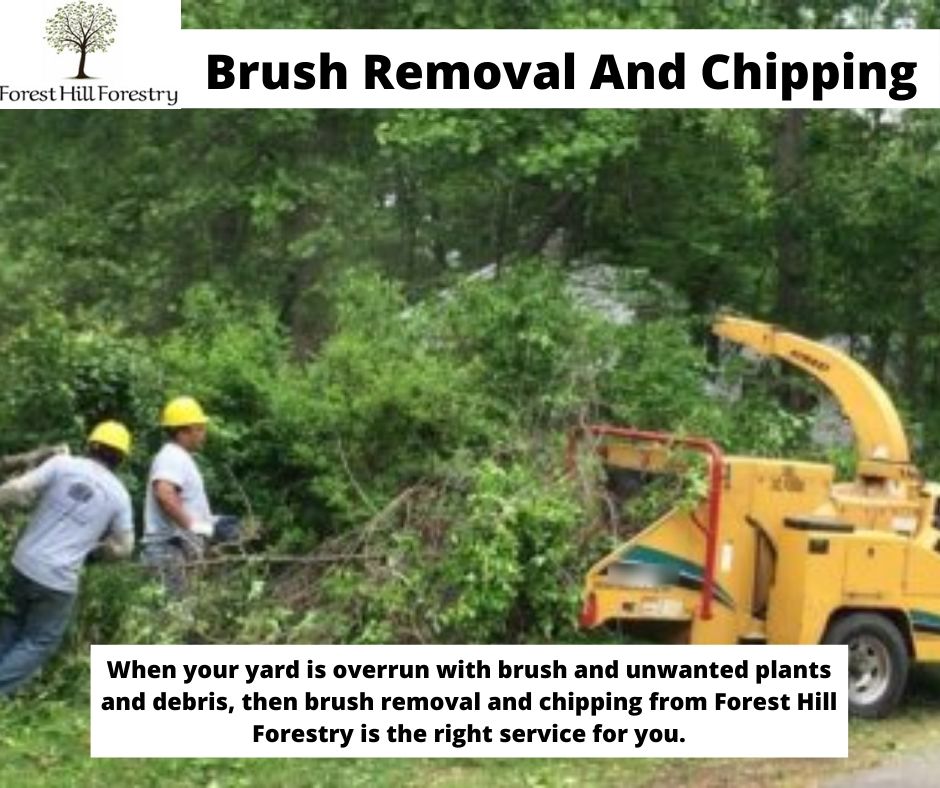 Properly disposing of brush and debris can be a long and tedious task. With our professional help, this issue can be resolved in no time. Call <a href="/FHForestry/">Forest Hill Forestry</a> at +437 776 4172 now.