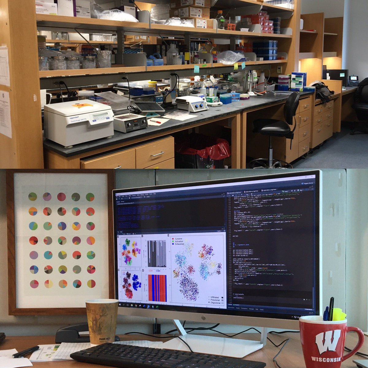 professoreng's tweet photo. Not sure how to pick the right image for the lab webpage: messy bench or messy code. https://t.co/gprXLzdNLg